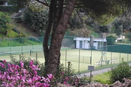 Casa Giuly Lejlighed Rapallo Eksteriør billede